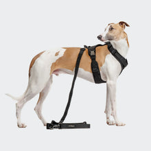 Load image into Gallery viewer, CLOUD7 - L2 JOGGING LEASH AKTIV BLACK

