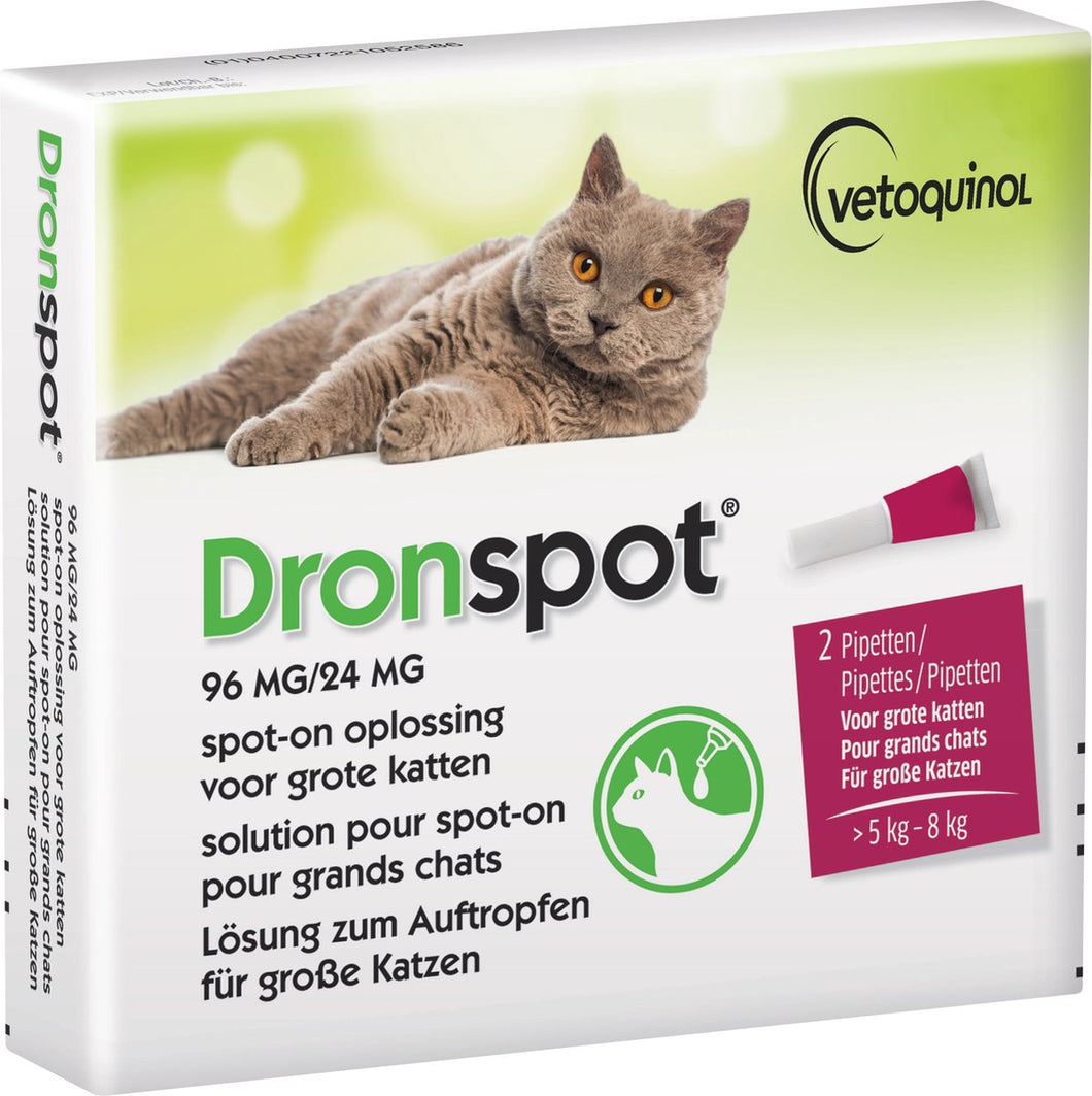 DRONSPOT - ADULT BIG CAT