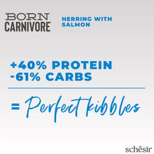Load image into Gallery viewer, SCHESIR BORN CARNIVORE - HERRING WITH SALMON
