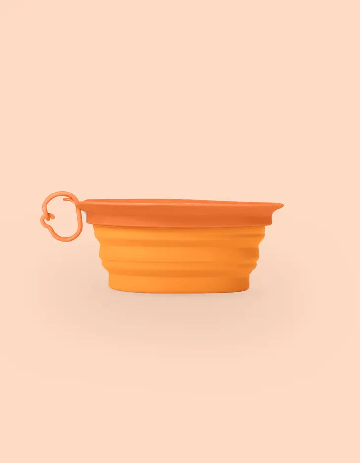 UNITED PETS - FOLDABLE LEAF BOWL