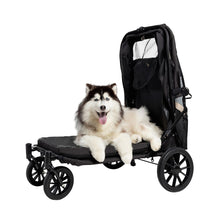 Load image into Gallery viewer, IBIYAYA GRAND CUISER + DOG RAMP + RAIN COVER
