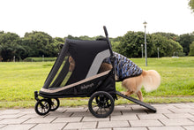Load image into Gallery viewer, IBIYAYA GRAND CUISER + DOG RAMP + RAIN COVER
