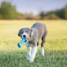 Load image into Gallery viewer, KONG - GOODIE BONE PUPPY

