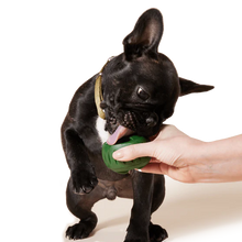 Load image into Gallery viewer, WOOF - PUPSICLE TREAT TRAY
