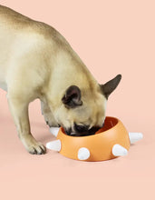 Load image into Gallery viewer, UNITED PETS - THE BOSS - ECO FRIENDLY INCLINED BOWL
