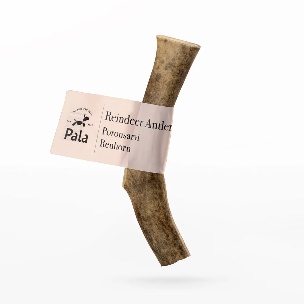 PALA - REINDEER ANTLER