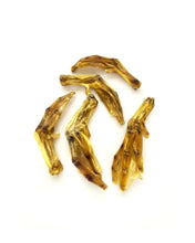 Load image into Gallery viewer, MR. BONES - DUCK FEET
