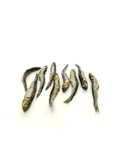 Load image into Gallery viewer, MR. BONES - ANCHOVIES
