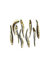 Load image into Gallery viewer, MR. BONES - ANCHOVIES

