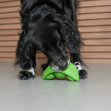 Load image into Gallery viewer, ZEE.DOG - GREEN BEAN
