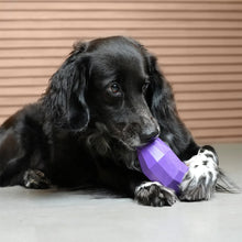 Load image into Gallery viewer, ZEE.DOG - EGGPLANT
