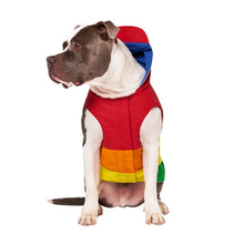 Load image into Gallery viewer, CANADA POOCH - TORRENTIAL TRACKER RAINCOAT - SPECIAL EDITION RAINBOW

