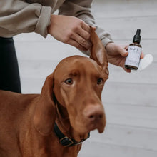 Load image into Gallery viewer, BUDDY PET FOOD - WAP 7 - EAR WASH
