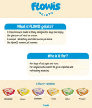 Load image into Gallery viewer, FLOWIS - ITALIAN ICE CREAM - DIFFERENT TASTES
