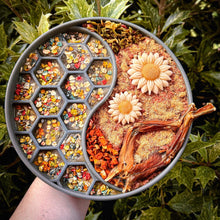Load image into Gallery viewer, COOKA&#39;S COOKIES - RAINBOW DOGFETTI
