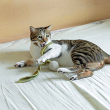 Load image into Gallery viewer, LAMBWOLF COLLECTIVE - KITTY RADISH
