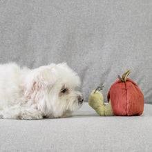 Load image into Gallery viewer, LAMBWOLF COLLECTIVE - APPLE SET

