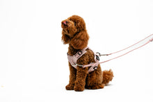 Load image into Gallery viewer, UNITE PETS - GUMI MULTIFUNCTIONAL TRAINING LEASH - PINK
