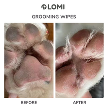 Load image into Gallery viewer, LOMI - BAMBOO GROOMING WIPES -  PREMIUM SIZE
