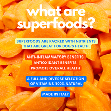 Load image into Gallery viewer, JAMPY - SUPERFOOD FRUIT MIX - 100% NATURAL POWDER
