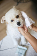 Load image into Gallery viewer, LOMI - BAMBOO GROOMING WIPES - TRAVEL SIZE

