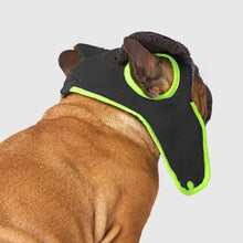 Load image into Gallery viewer, CANADA POOCH - COOL FACTOR AVIATOR HAT
