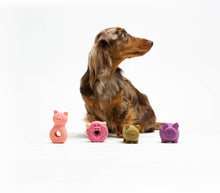 Load image into Gallery viewer, UNITED PETS - DONUT MINI
