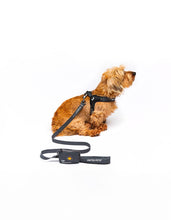Load image into Gallery viewer, UNITED PETS - FAST FIT HARNESS
