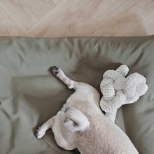 Load image into Gallery viewer, LAMBWOLF COLLECTIVE - NOU
