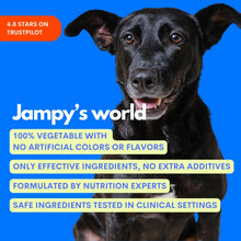 Load image into Gallery viewer, JAMPY - THE GOOD BOY - MULTIVITAMIN
