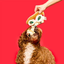 Load image into Gallery viewer, THE FURRYFOLKS - PIZZA
