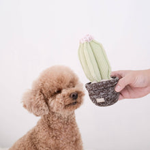 Load image into Gallery viewer, LAMBWOLF COLLECTIVE - CACTUS
