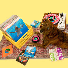 Load image into Gallery viewer, THE FURRYFOLKS - VINYL
