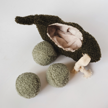 Load image into Gallery viewer, LAMBWOLF COLLECTIVE - PEA POP
