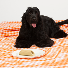 Load image into Gallery viewer, UNITED PETS - AL DENTE
