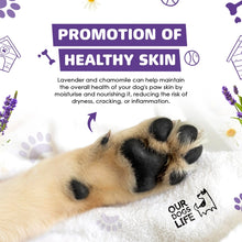 Load image into Gallery viewer, DOGSLIFE - PAW CLEANER
