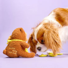 Load image into Gallery viewer, THE FURRYFOLKS - HAPPY BEAR NOSEWORK TOY
