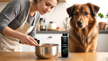 Load image into Gallery viewer, PAMICO - FEED OIL OMEGA 3-6-9 + VITAMIN E

