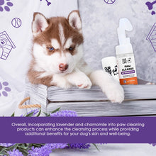 Load image into Gallery viewer, DOGSLIFE - PAW CLEANER
