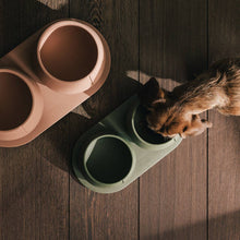 Load image into Gallery viewer, PINO PETS - TRAY FOR DOGS - CROCODILE
