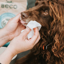 Load image into Gallery viewer, BECO - BAMBOO DOG WIPES TRAVEL
