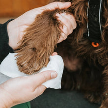 Load image into Gallery viewer, BECO - BAMBOO DOG WIPES TRAVEL
