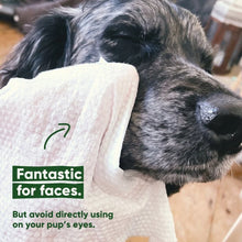 Load image into Gallery viewer, BECO - BAMBOO DOG WIPES TRAVEL
