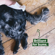 Load image into Gallery viewer, BECO - BAMBOO DOG WIPES TRAVEL
