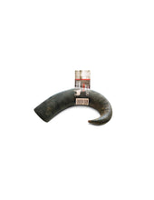 Load image into Gallery viewer, RECORD - BUFFALO HORNS
