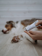 Load image into Gallery viewer, BUDDY PET FOOD - WAP 5 - ZINK OINTMENT
