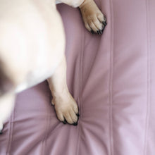 Load image into Gallery viewer, LAMBWOLF COLLECTIVE - MAATIN - BED - PLUM
