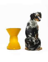 Load image into Gallery viewer, UNITED PETS - ELIZABETH - THE QUEEN OF BOWL
