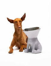 Load image into Gallery viewer, UNITED PETS - ELIZABETH - THE QUEEN OF BOWL
