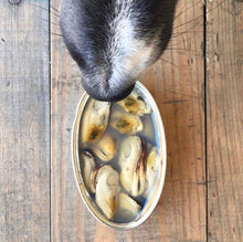 Load image into Gallery viewer, CANUMI - GREEN-LIPPED MUSSEL
